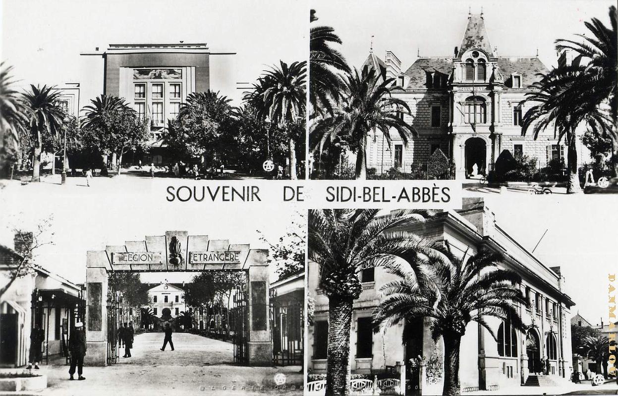 Sidi bel abbes 537- Souvenir COLLECTION DES AMIS DE ND DE SANTA CRUZ.jpg